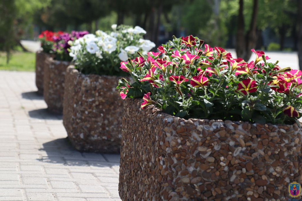 у покрові висаджують квіти - зображення 7